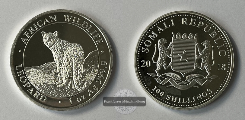  Somalia  100 Schillings 2018 Leopard KM#287 FM-Frankfurt Feinsilber: 31,06g   