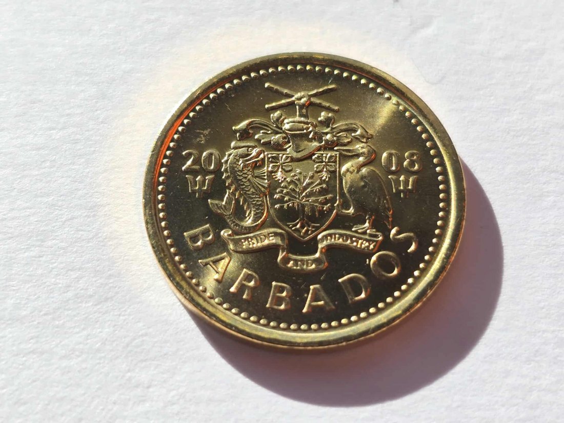 Barbados 5 Cents 2008 STG
