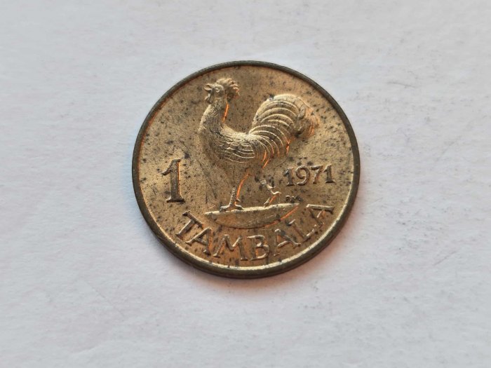 Malawi 1 Tambala 1971 VZ