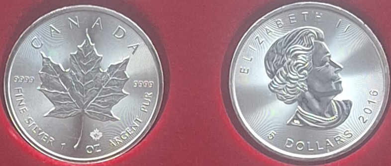  Kanada, 5 Dollar 2016 Elizabeth II 1oz Silber 999,9/1000 =31,1g fein gekapselt   