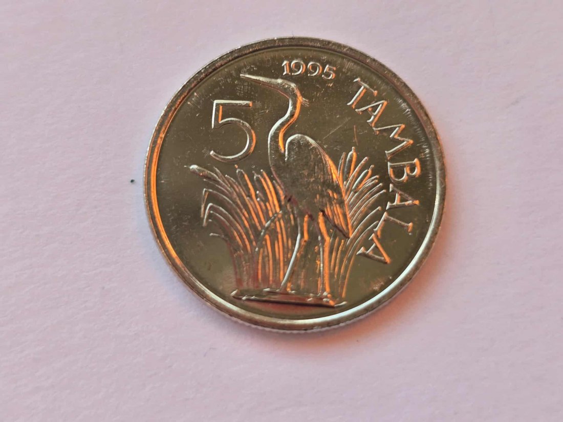 Malawi 5 Tambala 1995 STG