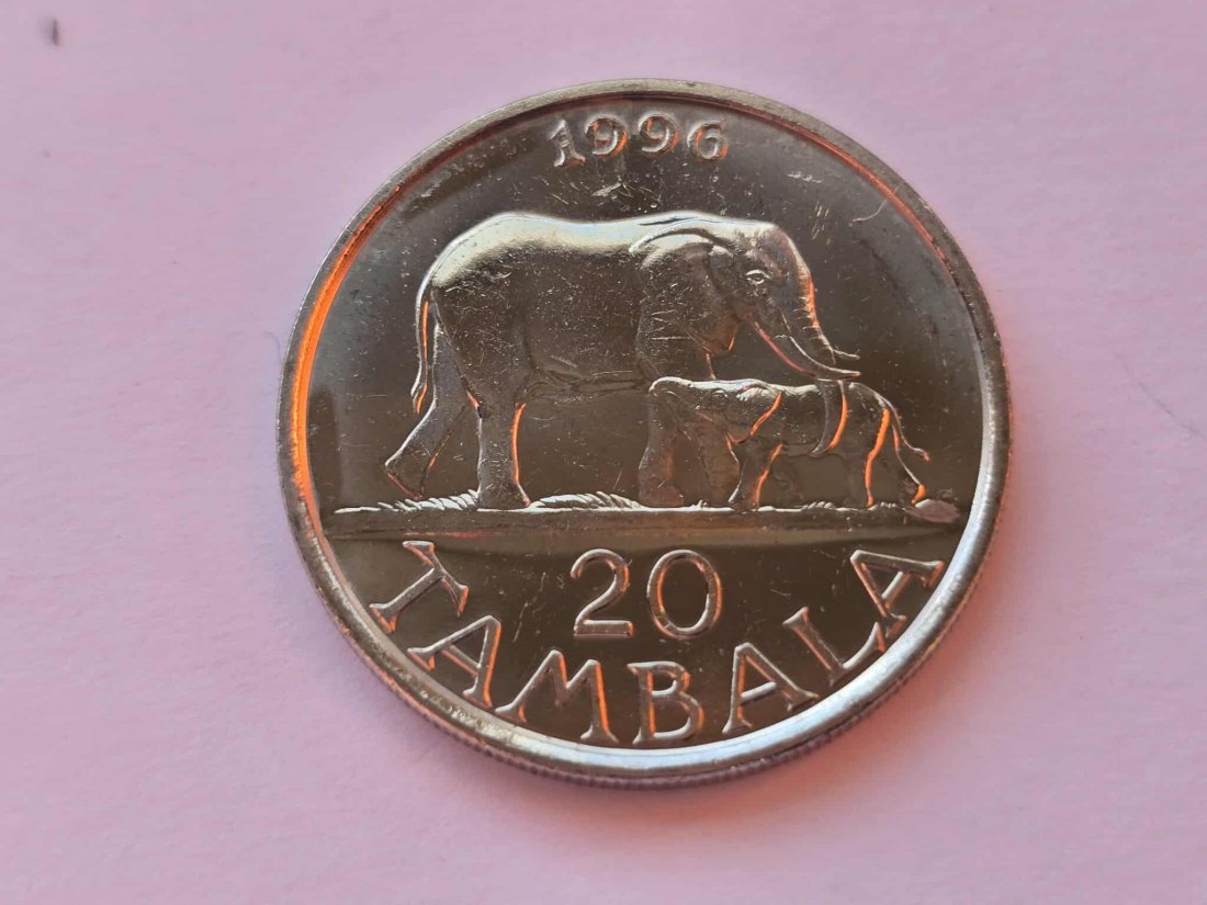 Malawi 20 Tambala 1996 STG