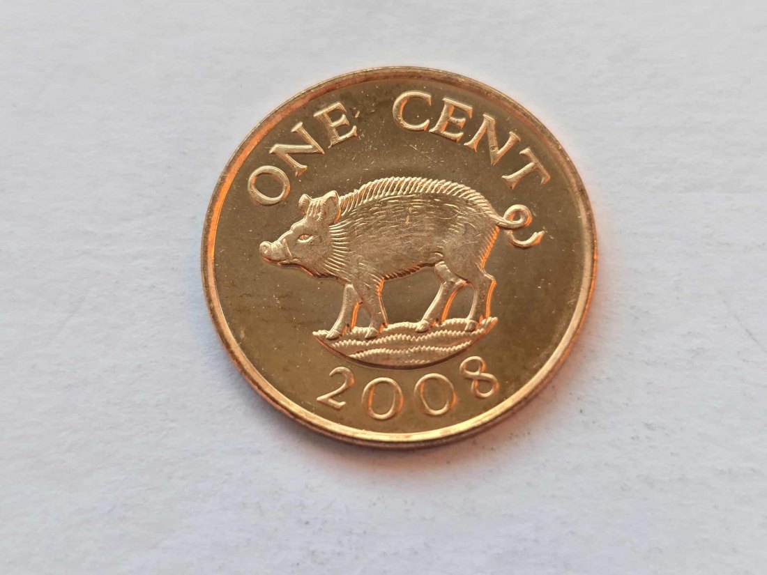 Bermuda 1 Cent 2008 STG
