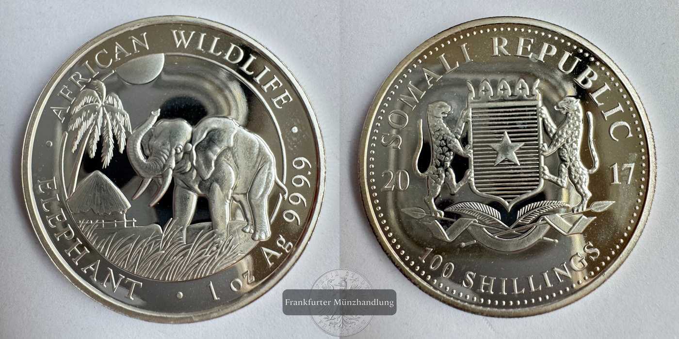  Somalia 100 Shillings (Elephant) 2017 FM-Frankfurt KM#271 Feinsilber: 31,1g   