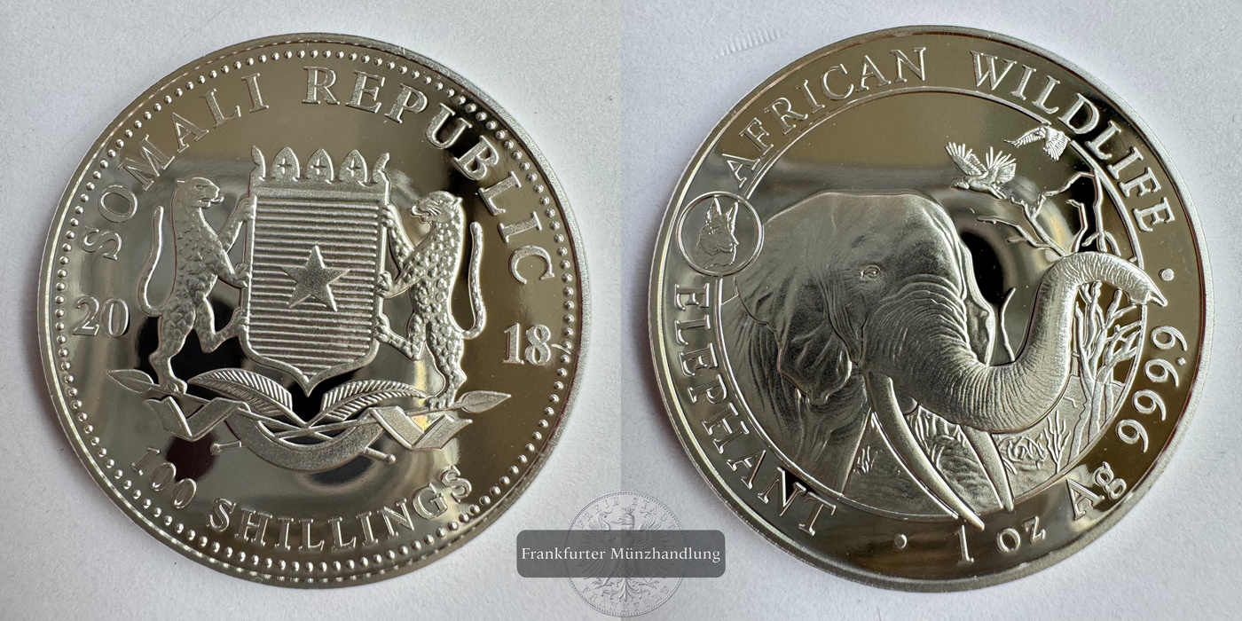  Somalia 100 Shillings (Elephant) 2018 DOG PRIVY FM-Frankfurt KM#284 Feinsilber: 31,1g   