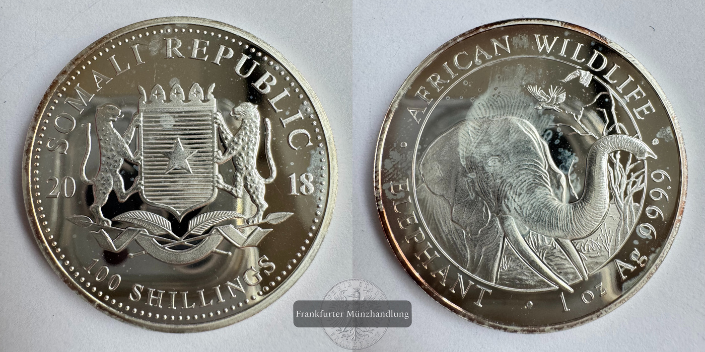  Somalia 100 Shillings (Elephant) 2018 FM-Frankfurt KM#284 Feinsilber: 31,1g   