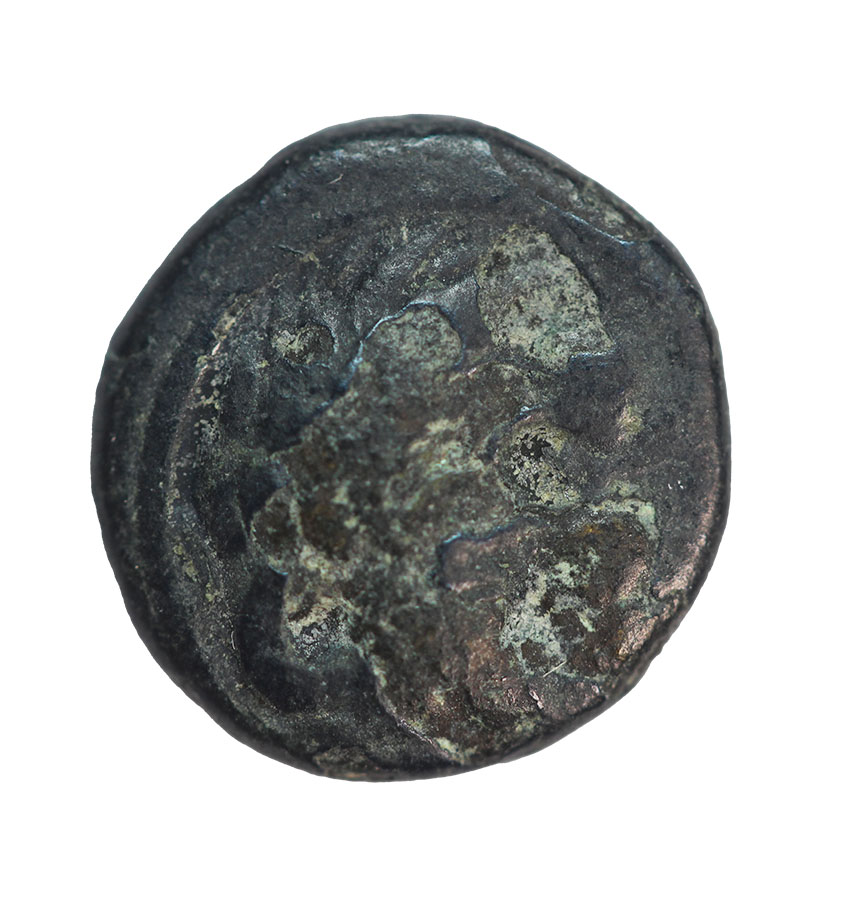 Chersonese,Thracian, ca.330 BC,AE12,1,44 g.