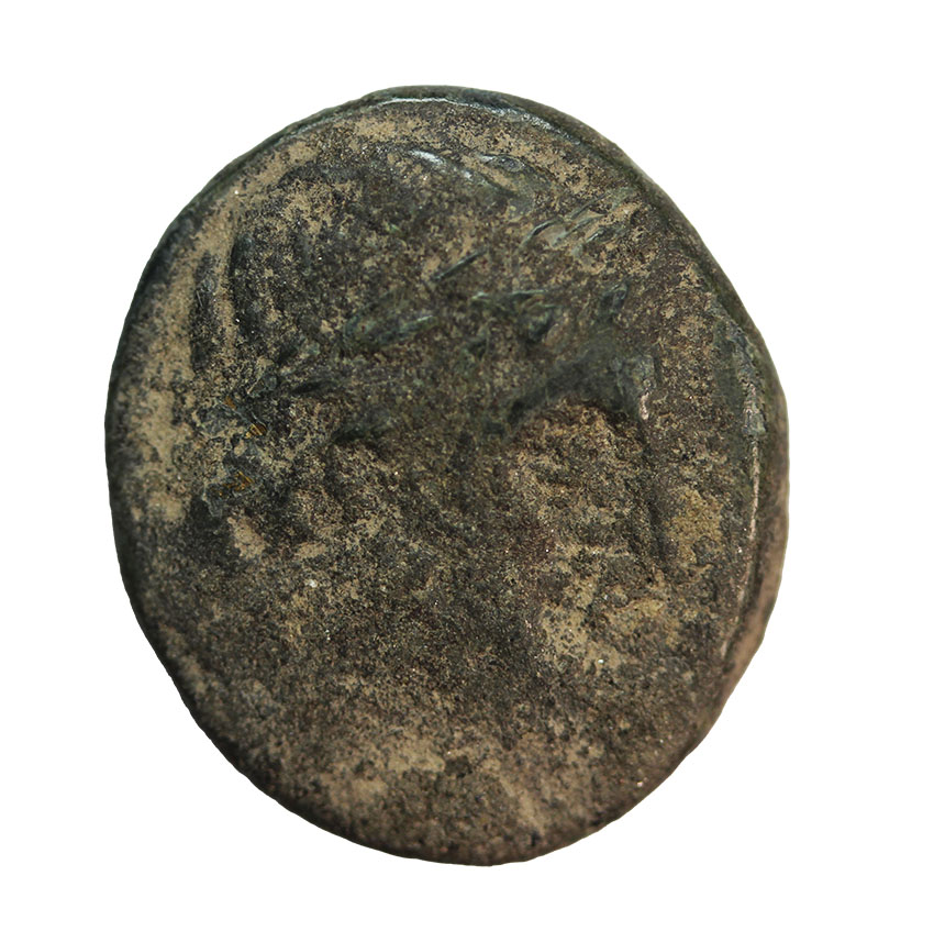Seuthes III.,King of Thrace,head of Zeus, ca.324 BC,AE15, 4,87 g. RRR