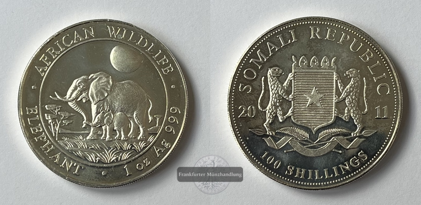  Somalia 100 Shillings Elephant 2011 KM#231 FM-Frankfurt Feinsilber: 31,1g   