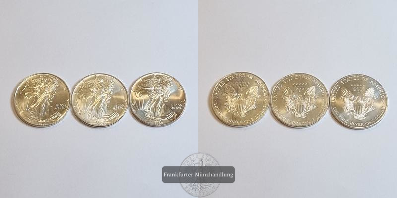  USA 1 Dollar American Silver Eagle LOT 3 Münzen (1993 - 1995) FM-Frankfurt Feinsilber: 93,2g   