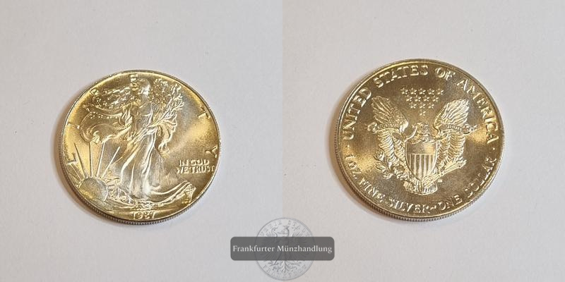  USA 1 Dollar 1987 American Eagle  FM-Frankfurt Feinsilber: 31,1g   