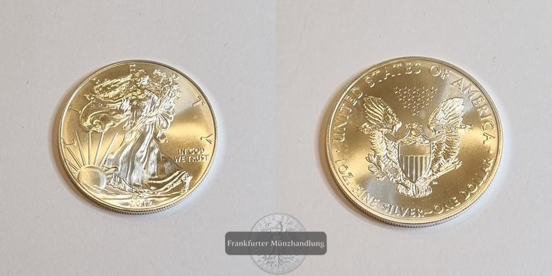  USA 1 Dollar 2012 American Eagle  FM-Frankfurt Feinsilber: 31,1g   