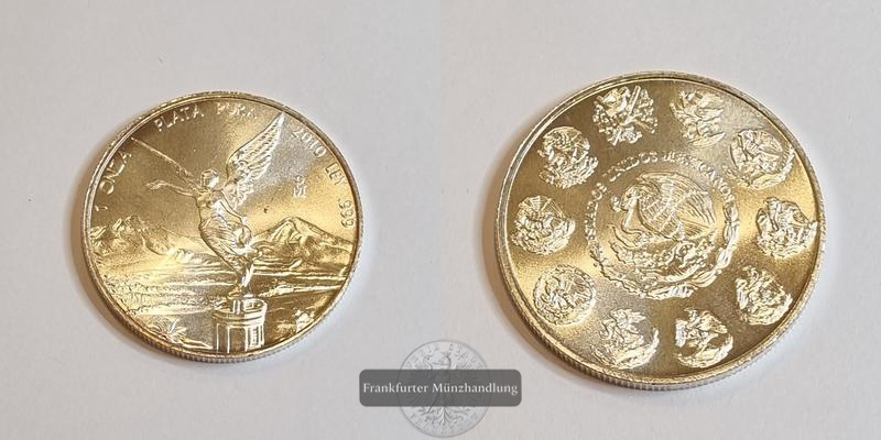  Mexiko Libertad 2010 FM-Frankfurt Feinsilber: 31,1g   
