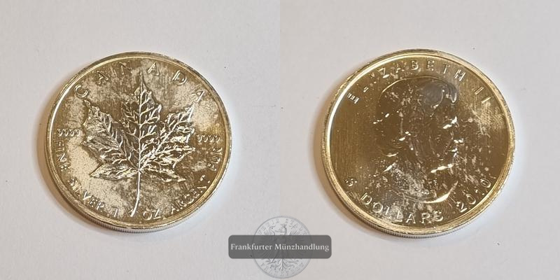  Kanada 5 Dollar 2010 Maple Leaf FM-Frankfurt Feinsilber: 31,1g   