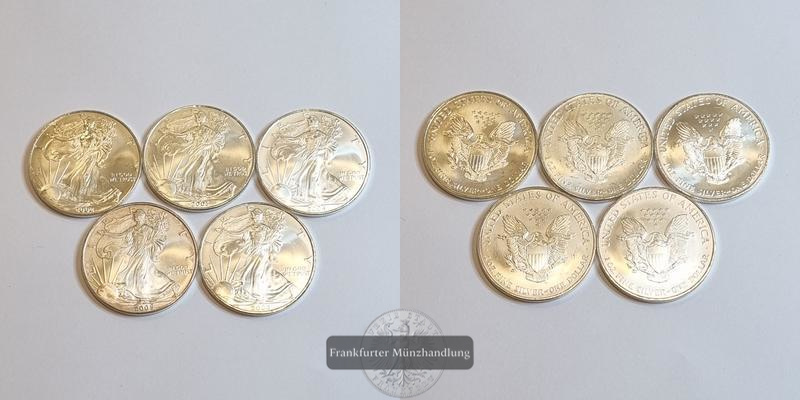  USA 1 Dollar American Silver Eagle LOT 5 Münzen (2002 - 2006) FM-Frankfurt Feinsilber: 155,34g   