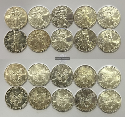  USA 1 Dollar Walking Liberty LOT x10 KM#273 FM-Frankfurt Feinsilber: 310,1g   
