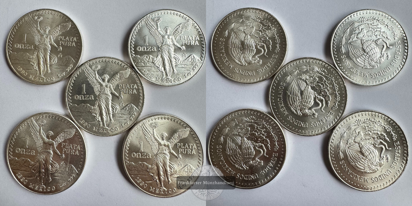 Mexico / 5x 1 Onza Libertad Plata Pura 1990 FM-Frankfurt KM#494.2 Feinsilber: 155,5g   