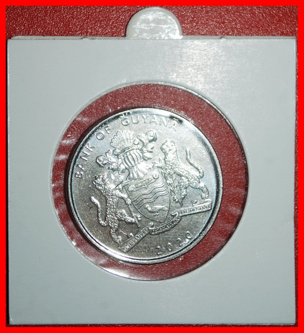  Ⰿ CANADA: GUYANA ★ 100 DOLLARS 1970-2020 COLORED UNC MINT LUSTRE! JAGUARS! LOW START ★ NO RESERVE!   