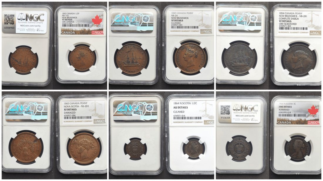  Kanadische Provinzen – 6× NGC gradierte alte Münzen   