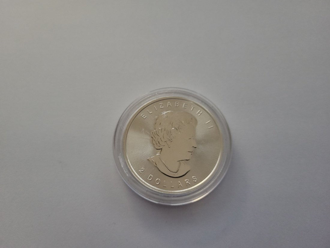  2 Dollars 3/4 OZ Unze Silbermünze Wolf Canada Kanada Spittalgold9800 (3469)   