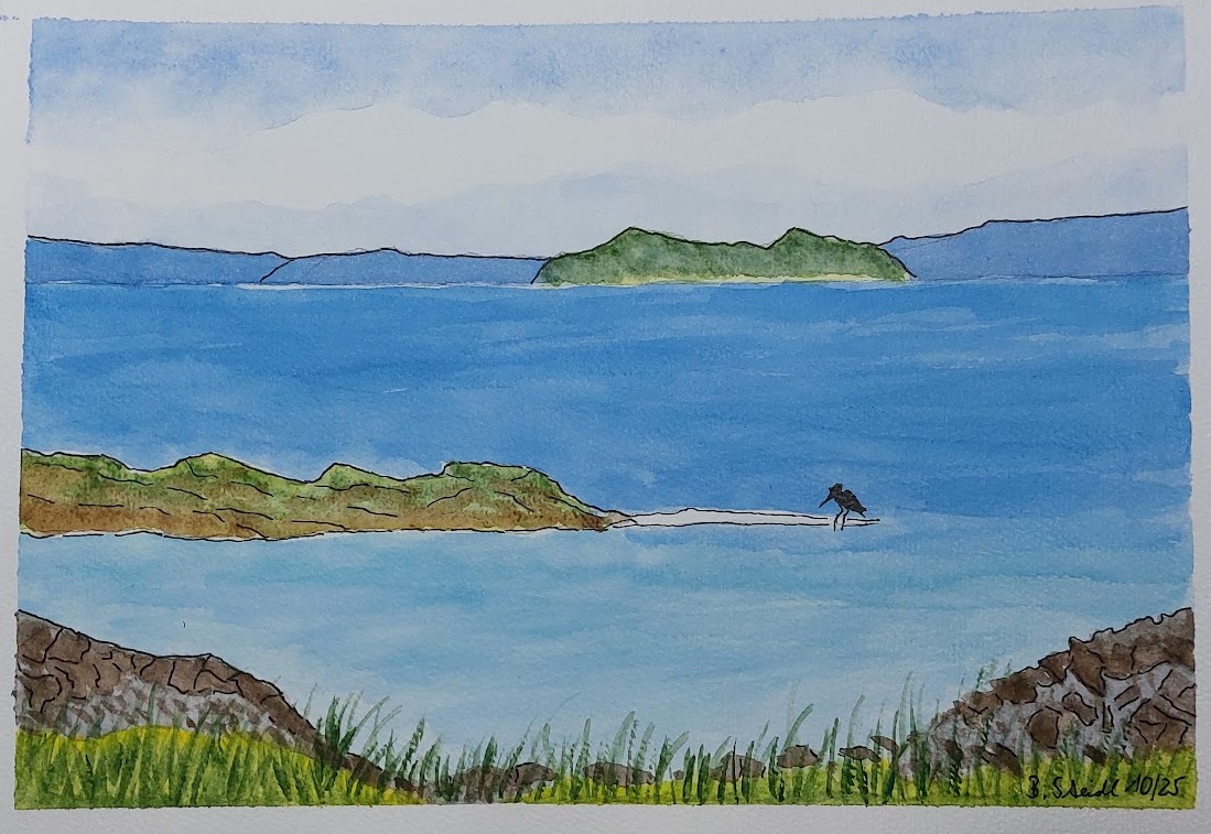  AQUARELLBILD / TITEL KÜSTENLANDSCHAFT / FORMAT A4 (21x29,7cm) / 10/2025   