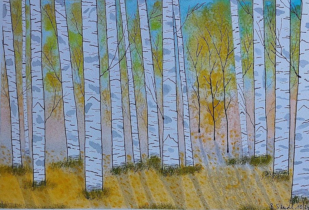  AQUARELLBILD / BIRKENWALD / FORMAT A4 (21x29,7cm) / 10/2024   