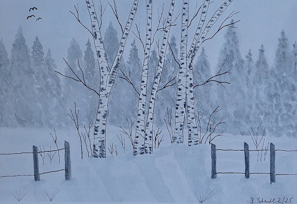  AQUARELLBILD / BIRKEN IM WINTERWALD / FORMAT A4 (21x29,7cm) / 2/2025   
