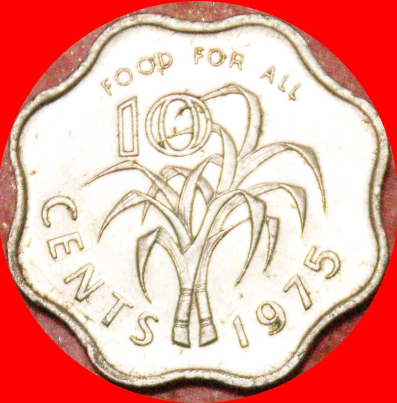 Ⰿ GROSSBRITANNIEN: SWASILAND ESWATINI ★ 10 CENT 1975 FAO! SOBHUZA II. (1968-1982) OHNE VORBEHALT!   