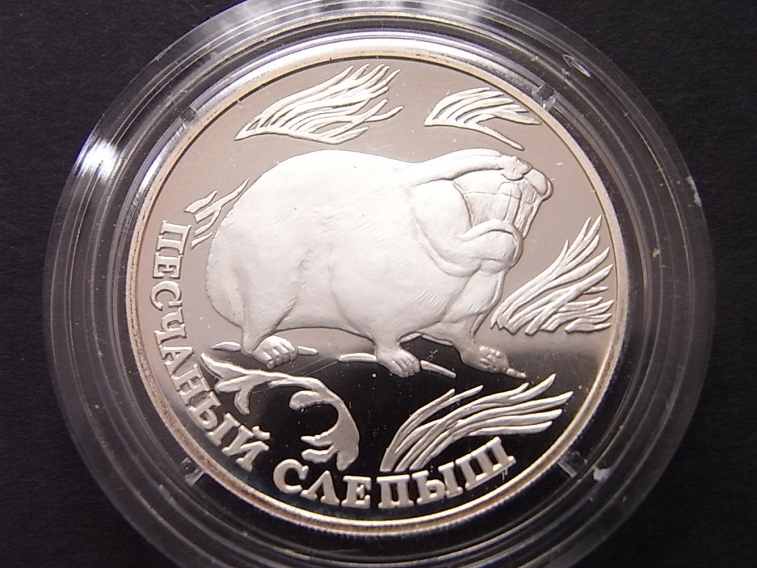  Russland 1 Rubel 1996 Sandblindmaus Y494 PP Silber   