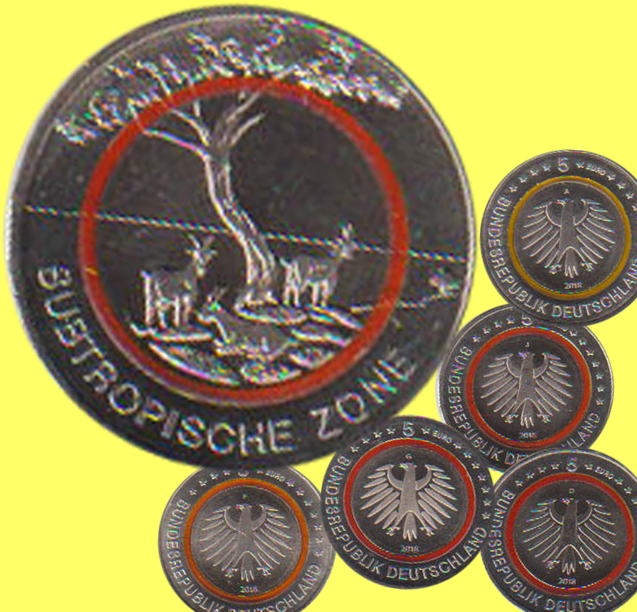 Offiz. 5x 5-Euromünzen mit Polymerring A-J BRD *Suptropische Zone* 2018   