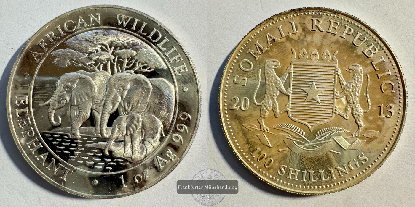  Somalia 100 Shillings (Elephant) 2013 FM-Frankfurt KM#252 Feinsilber: 31,1g   