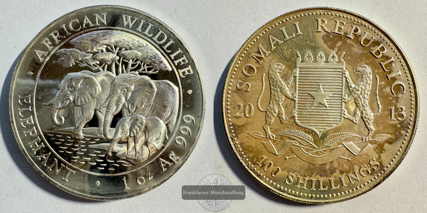  Somalia 100 Shillings (Elephant) 2013 FM-Frankfurt KM#252 Feinsilber: 31,1g   