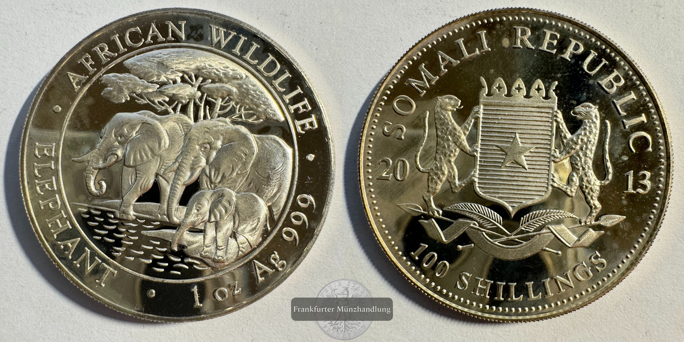  Somalia 100 Shillings (Elephant) 2013 FM-Frankfurt KM#252 Feinsilber: 31,1g   