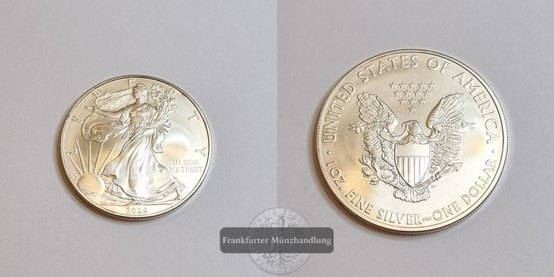  USA 1 Dollar 2009 Walking Liberty KM#273 FM-Frankfurt Feinsilber: 31,06g   