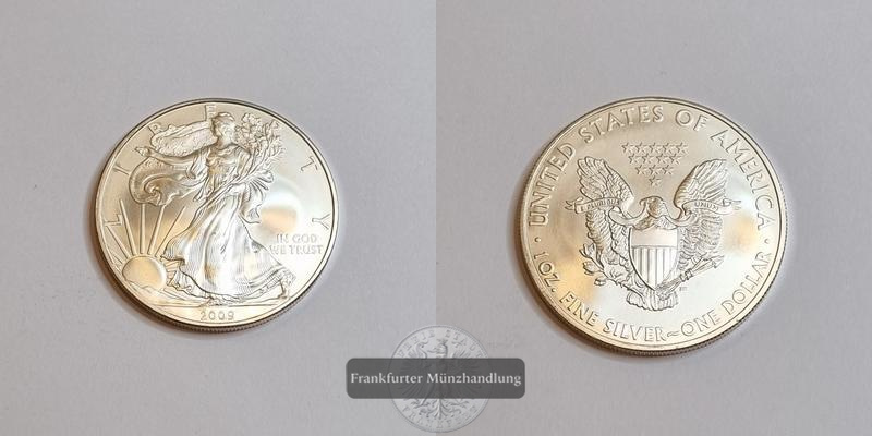  USA 1 Dollar 2009 Walking Liberty KM#273 FM-Frankfurt Feinsilber: 31,06g   