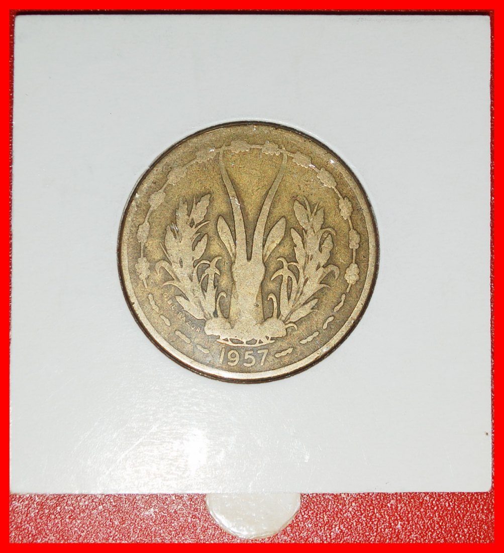  Ⰿ GOLD SCHWERTFISCH FRANKREICH: FRANZÖSISCH-WESTAFRIKA★ 25 FRANCS 1957 TOGO! PACKUNG★OHNE VORBEHALT!   