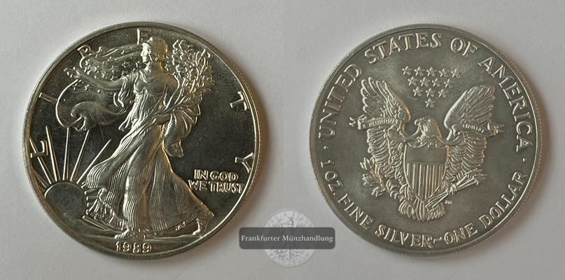  USA 1 Dollar 1989 Walking Liberty KM#273 FM-Frankfurt Feinsilber: 31,06g   