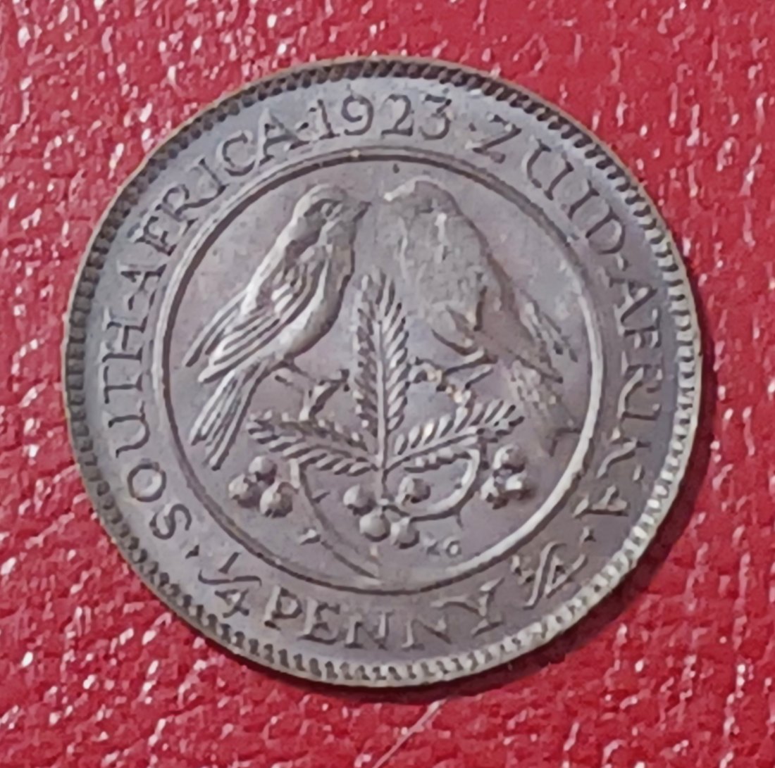  1923 South Africa Sparrows George V Quarter Penny ¼P MINTAGE 32,800   
