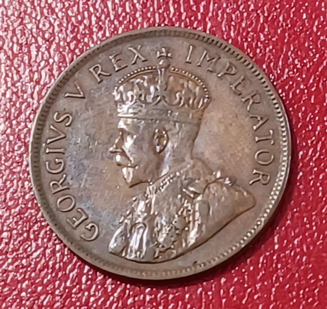  1929 South Africa Dromedaris George V One Penny 1D   