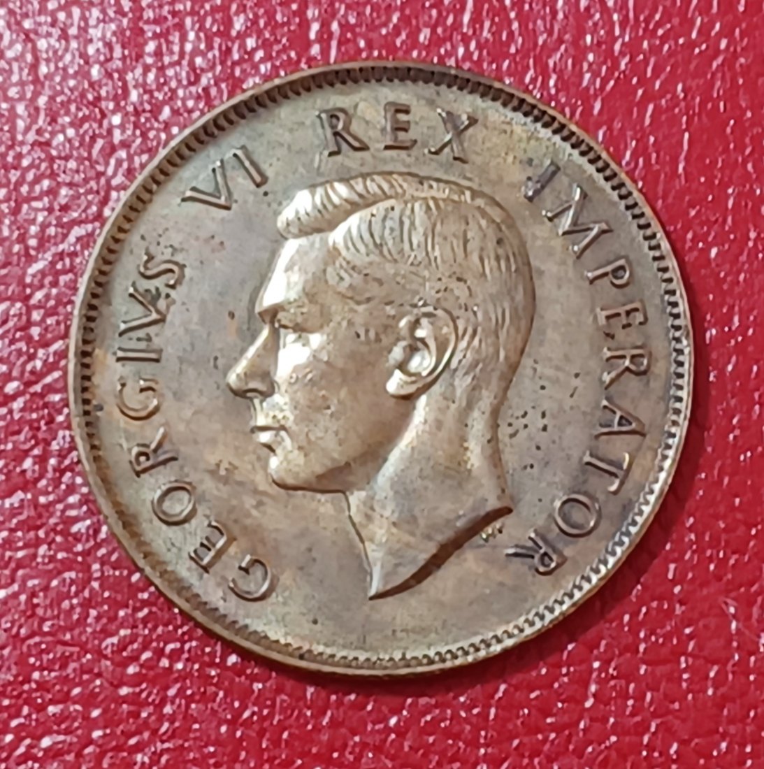  1945 South Africa Dromedaris George VI One Penny 1D   