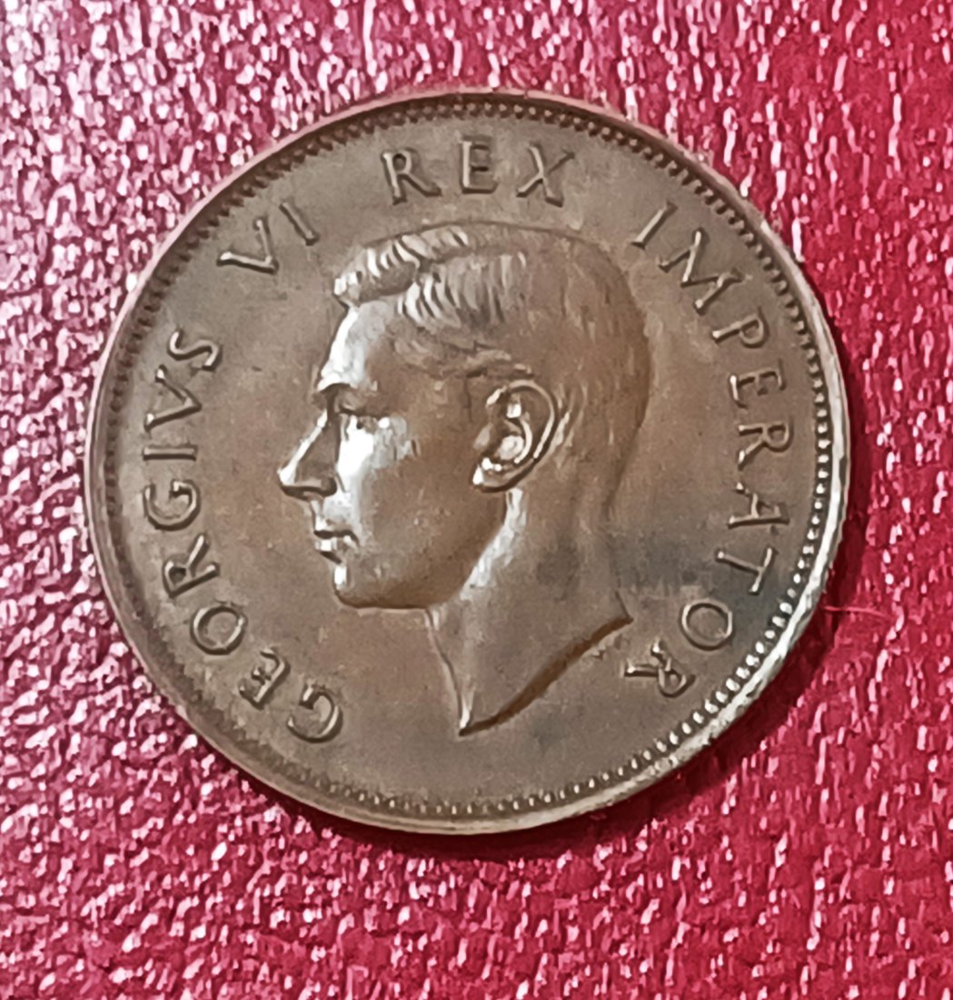  1940 South Africa Dromedaris George VI Half Penny ½ D   
