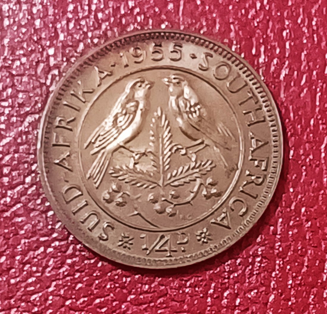 1955 PROOF South Africa Sparrows Elizabeth II Quarter Penny ¼P MINTAGE 2,850   