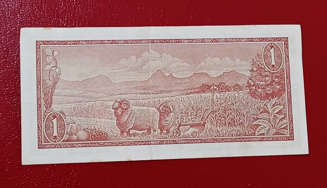  1973-1975South Africa Van Riebeeck Een Rand One Rand English Afrikaans   