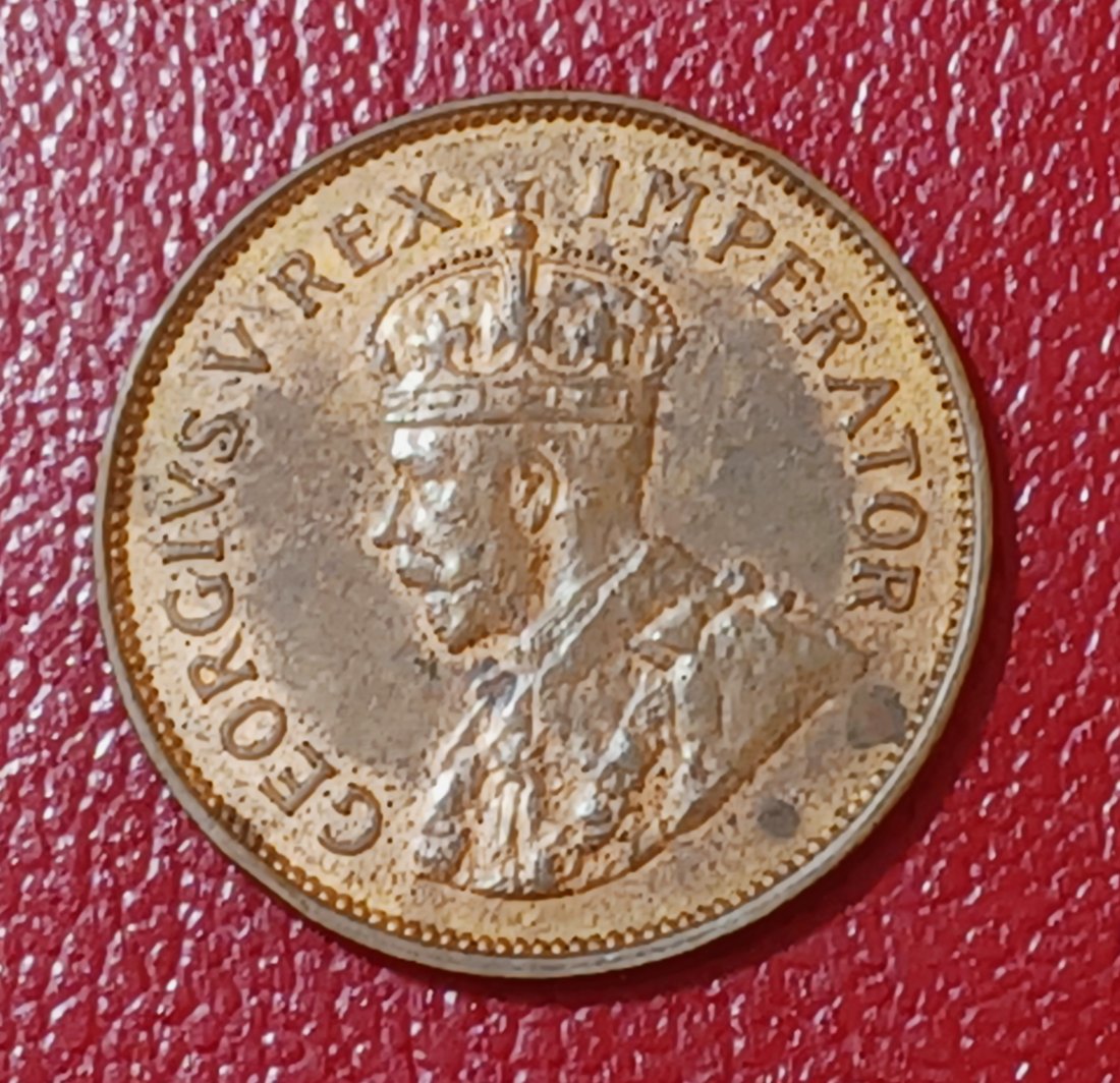  1935 South Africa Dromedaris George V Half Penny ½ D   