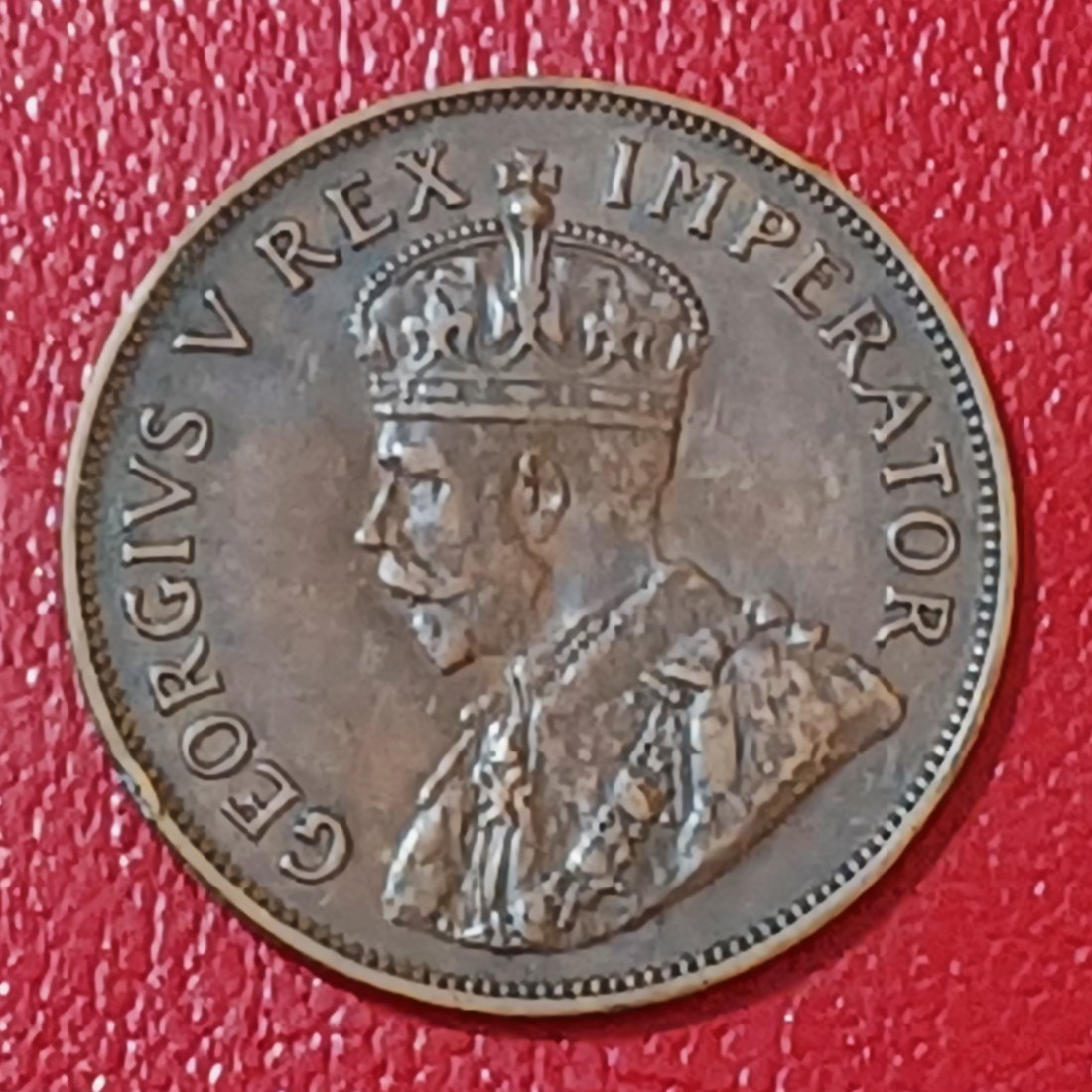  1936 South Africa Dromedaris George V One Penny 1D   