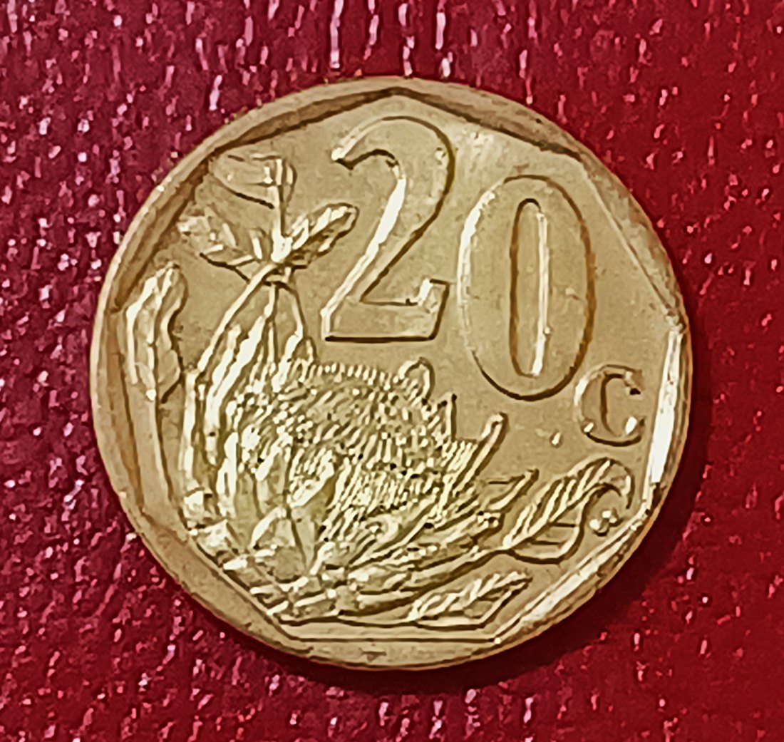  2020 South Africa Proof African Protea Twenty Cent 20c Mintage 4,000   