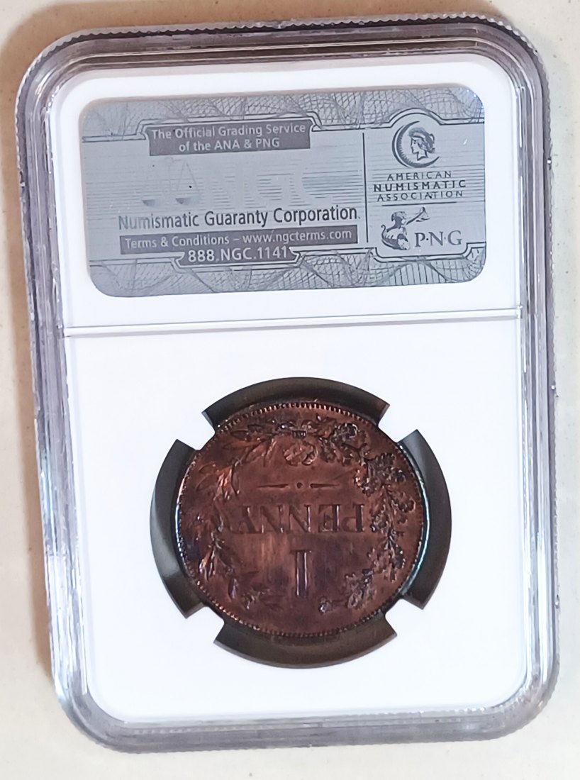  1890 PROOF South Africa ZAR Transvaal Pattern Bronze One Penny 1P NGC PF63RB MINTAGE 100 SUPER RARE   