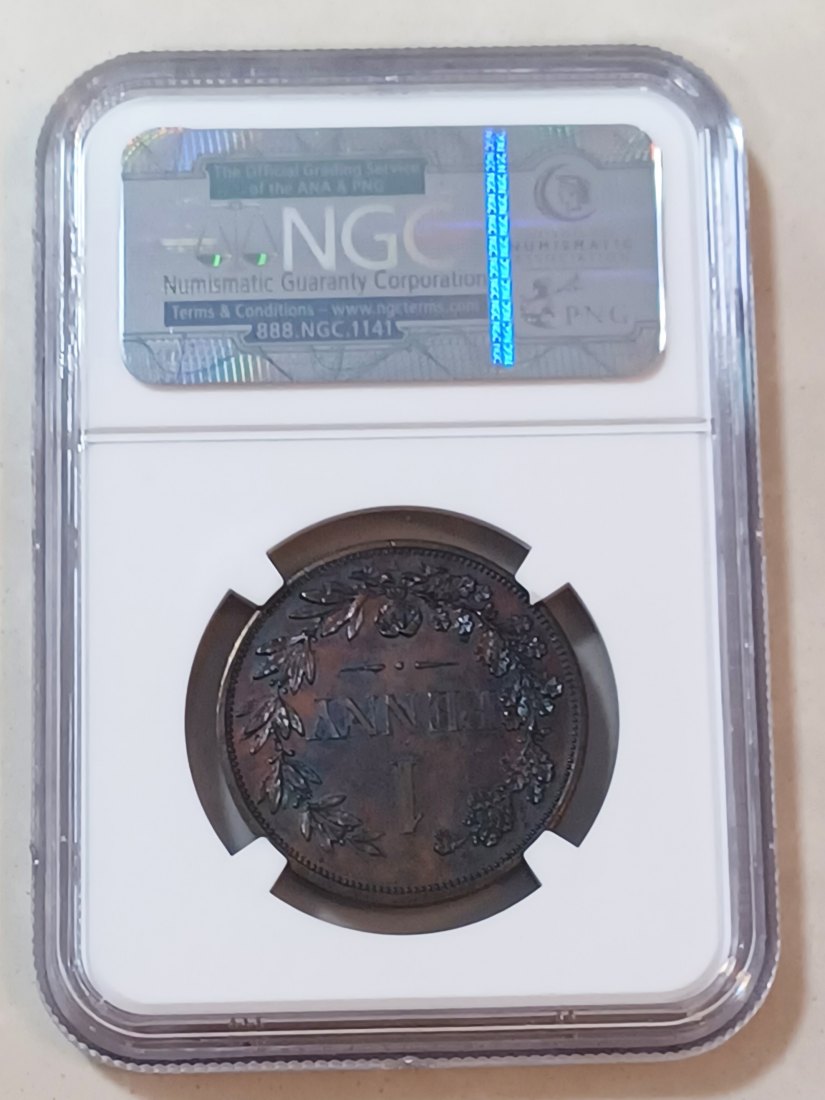  1890 PROOF South Africa ZAR Transvaal Pattern Bronze One Penny 1P NGC PF62BN MINTAGE 100 SUPER RARE   