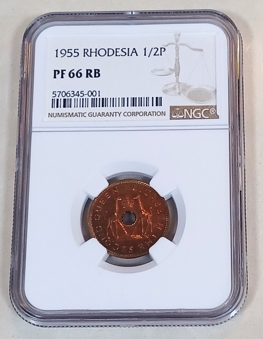 1955 Rhodesia & Nyasaland PROOF Elizabeth II Half Penny 1/2P NGC PF66RB 2ND HIGHEST MINTAGE 2,000