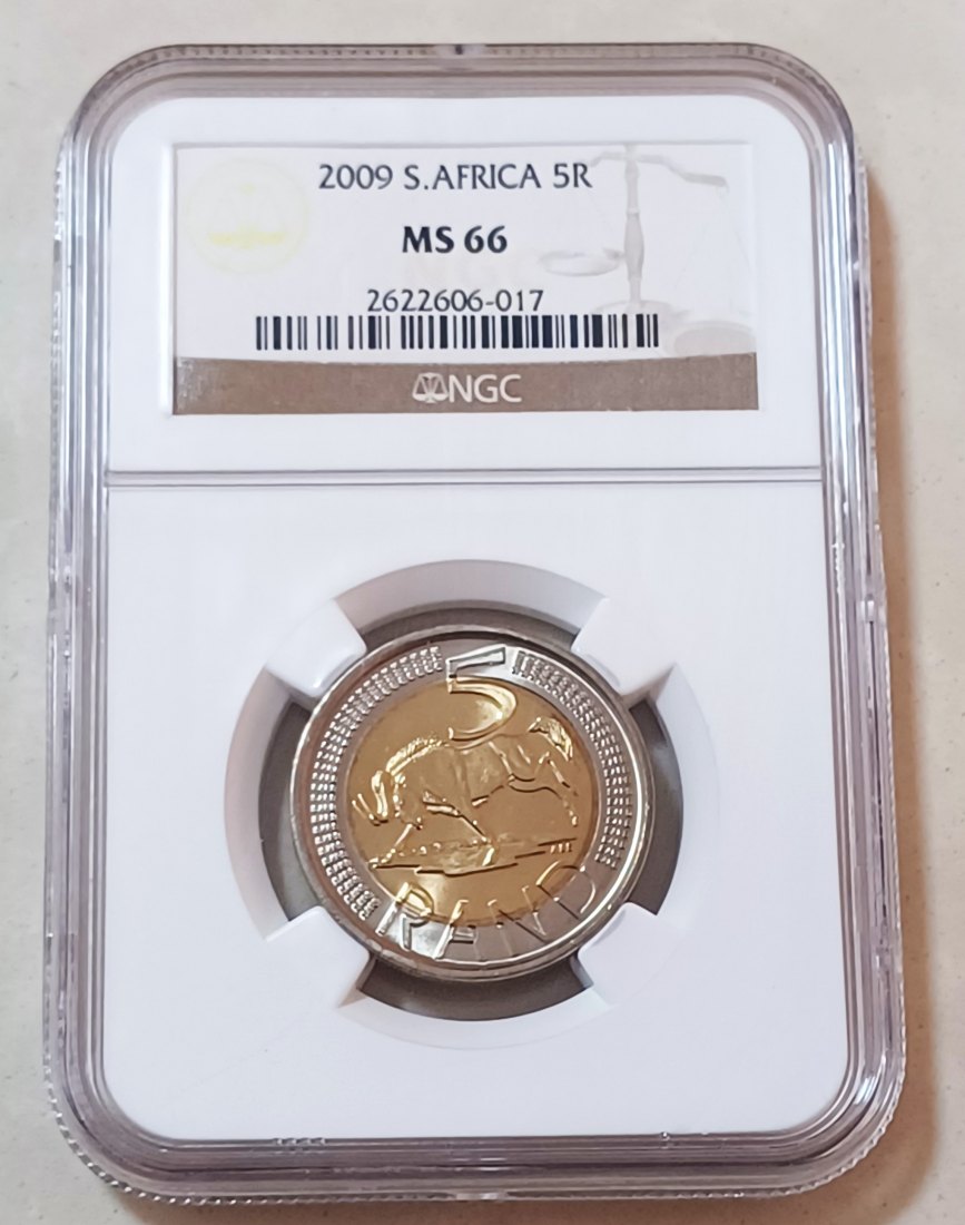 2009 South Africa BU UNC Wildebeest Five Rand R5 NGC MS66 2ND Highest Grade by NGC ONLY 1 HIGHER #2